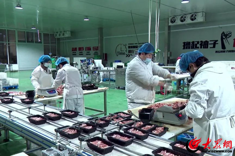 生物科技研发前沿探索