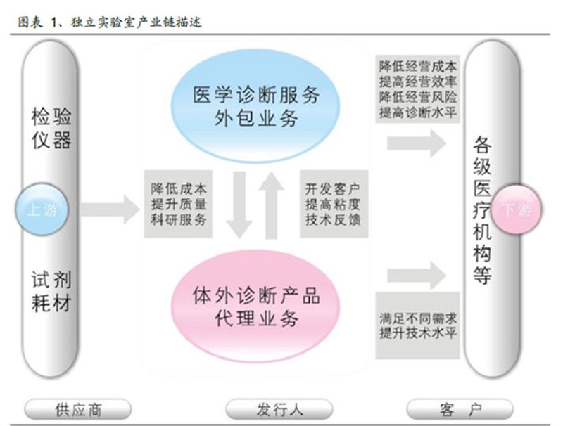 生物科技研发:推动未来医疗的驱动力量