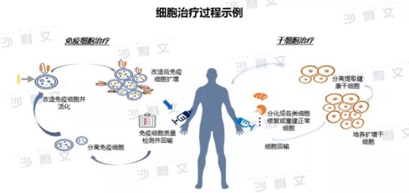 基因检测服务